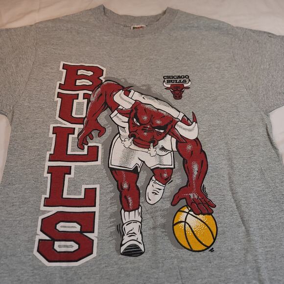 Chicago Bulls Fruit of the Loom Basketball T-Shirt Adult Mens Size Medium M Gray - Picture 1 of 9